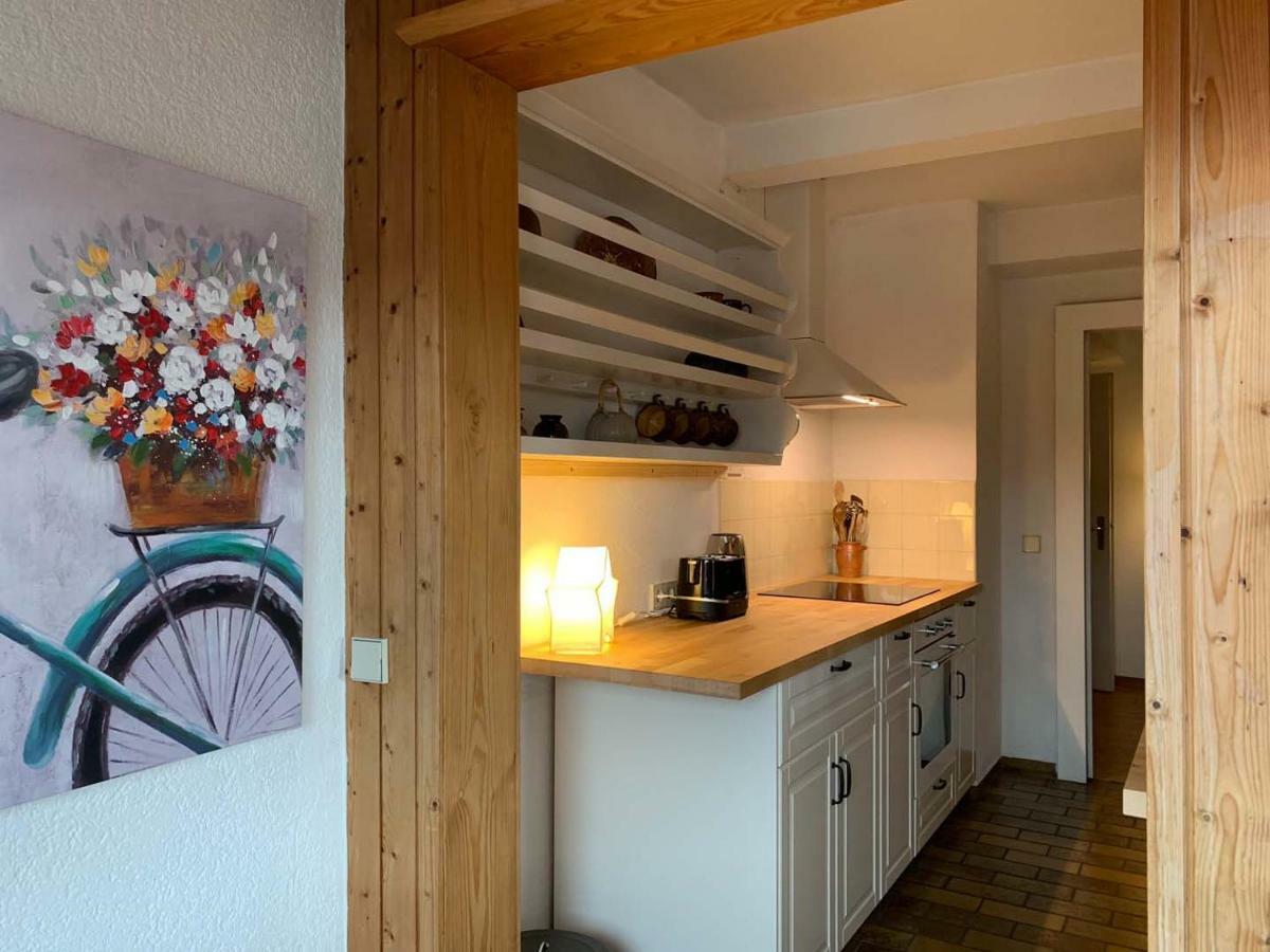 Deluxe Business City Apartments Metzingen Villa Landenberger Dış mekan fotoğraf