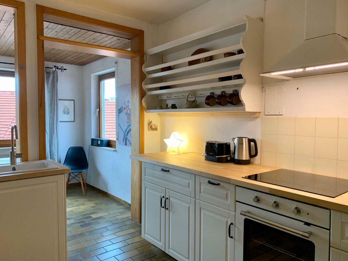Deluxe Business City Apartments Metzingen Villa Landenberger Dış mekan fotoğraf