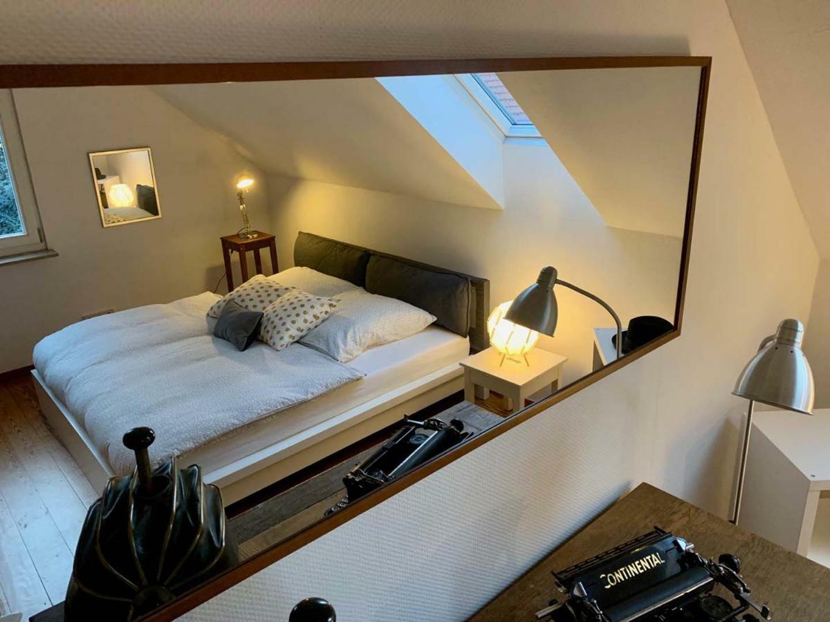 Deluxe Business City Apartments Metzingen Villa Landenberger Dış mekan fotoğraf