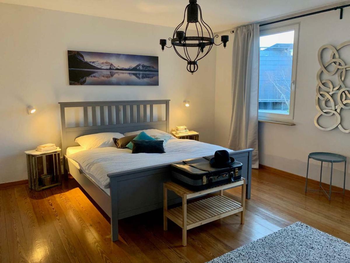 Deluxe Business City Apartments Metzingen Villa Landenberger Dış mekan fotoğraf