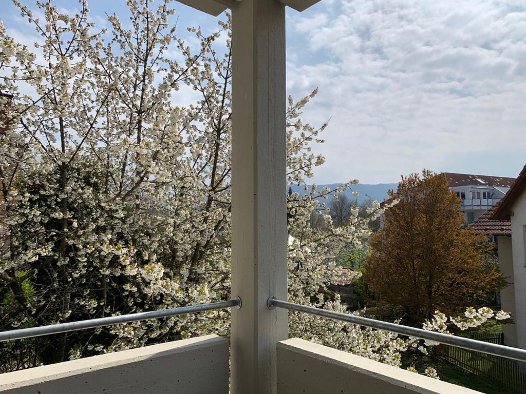 Deluxe Business City Apartments Metzingen Villa Landenberger Dış mekan fotoğraf